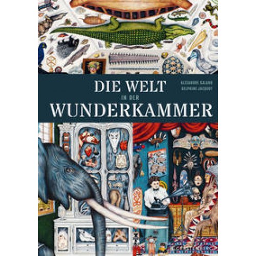 Die Welt in der Wunderkammer