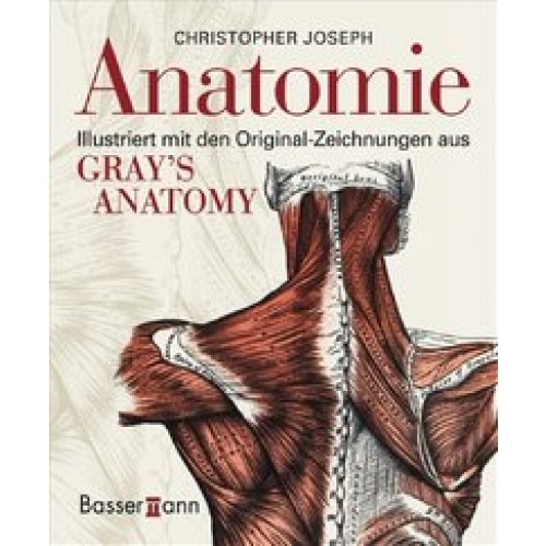 Anatomie