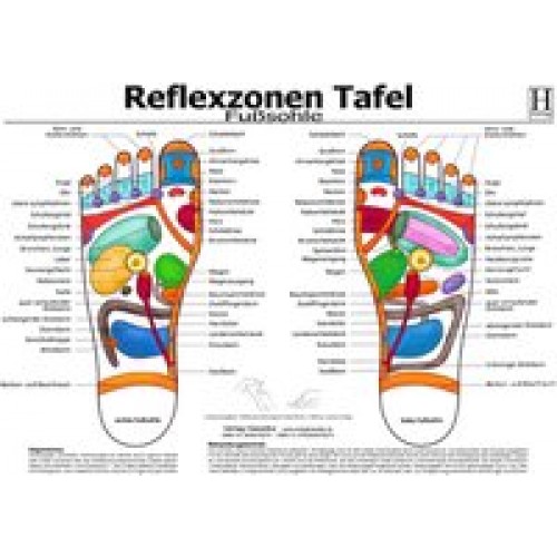 Fussreflexzonen Tafel - Fusssohle - A3 (laminiert)