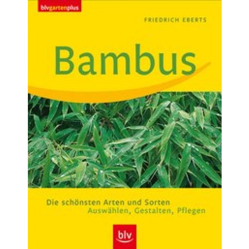 Bambus