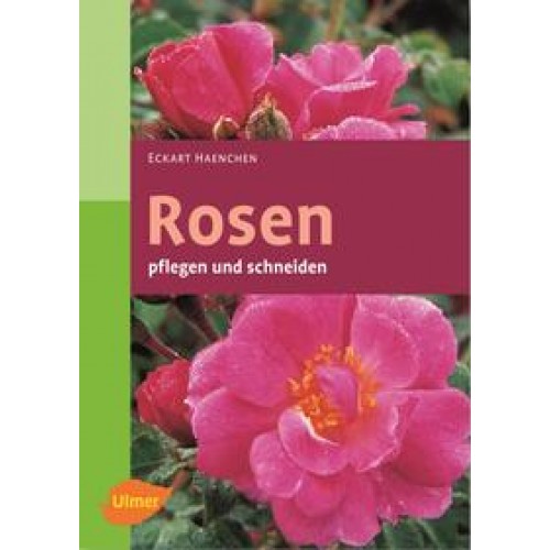 Rosen pflegen und schneiden