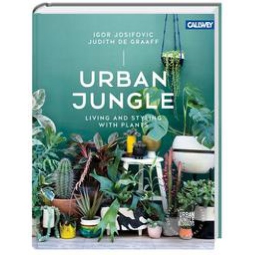 Urban Jungle