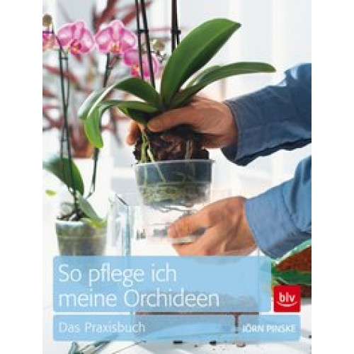 Pinske, So pflege ich meine Orchideen