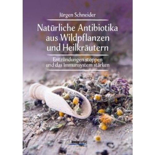 Natürliche Antibiotika aus Wildpflanzen und Heilkräutern