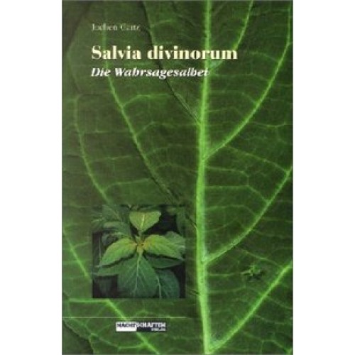 Salvia Divinorum