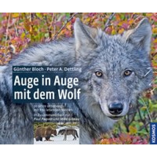 Auge in Auge mit dem Wolf