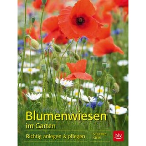 Blumenwiesen im Garten