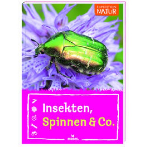 Insekten, Spinnen & Co.