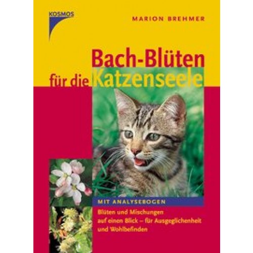 Bachblüten für die Katzenseele