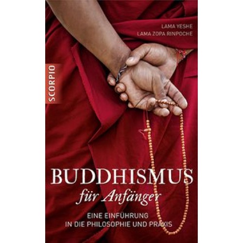 Buddhismus für Anfänger