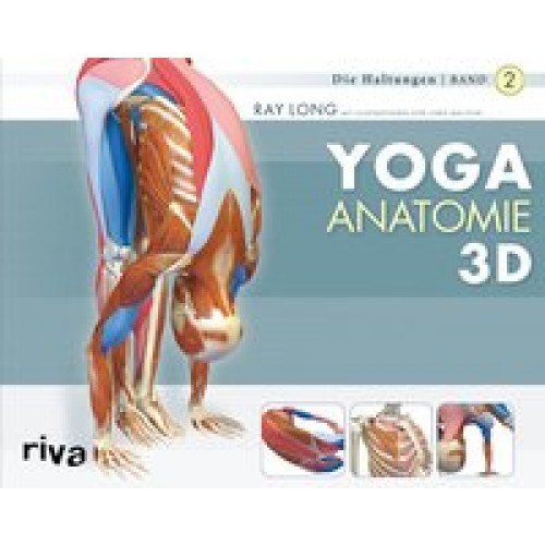 Yoga-Anatomie 3D