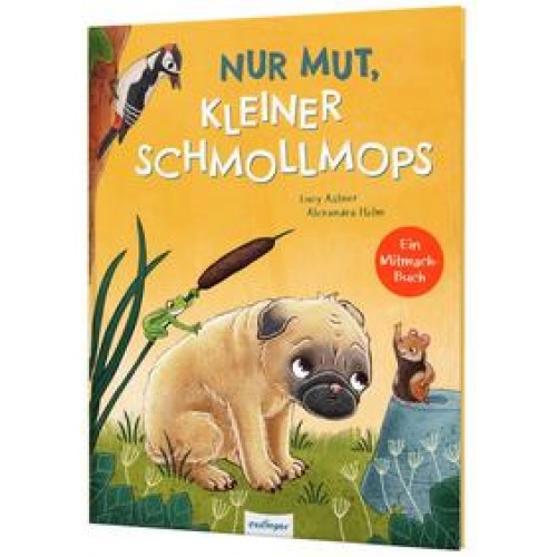 Nur Mut, kleiner Schmollmops