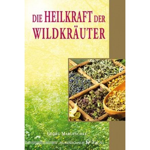 Die Heilkraft der Wildkräuter