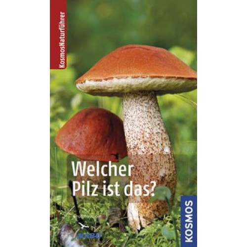 Welcher Pilz ist das