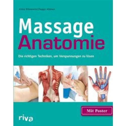 Massage-Anatomie