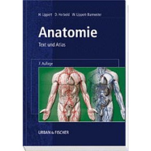 Anatomie