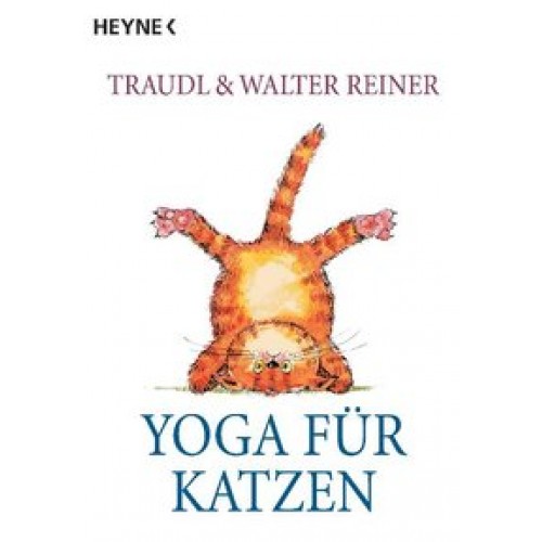 Yoga für Katzen