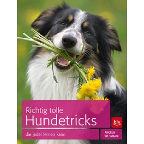 Richtig tolle Hundetricks: die jeder lernen kann [Taschenbuch] [2010] Wegmann, Angela