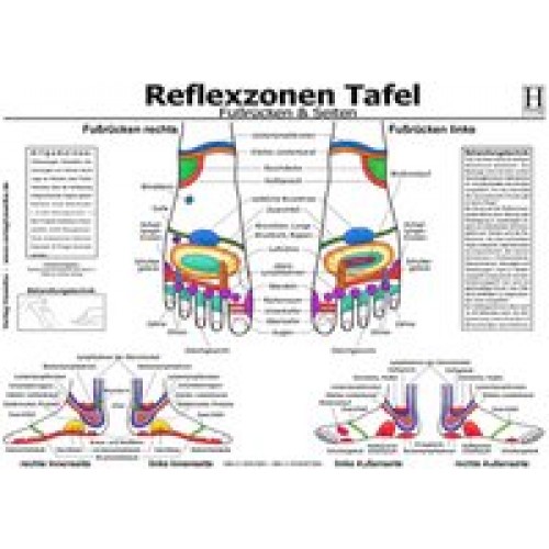 Fussreflexzonen Tafel - Fussrücken &amp  Seiten - A3 (laminiert)