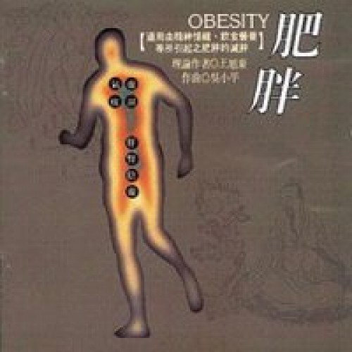 Übergewicht-Obesity