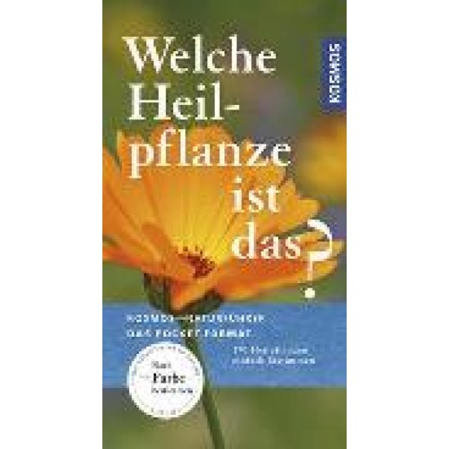 Welche Heilpflanze ist das