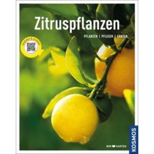 Zitruspflanzen