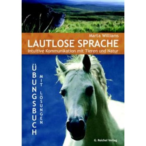 Lautlose Sprache