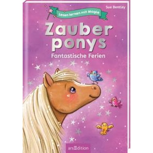 Lesen lernen mit Magie: Zauberponys