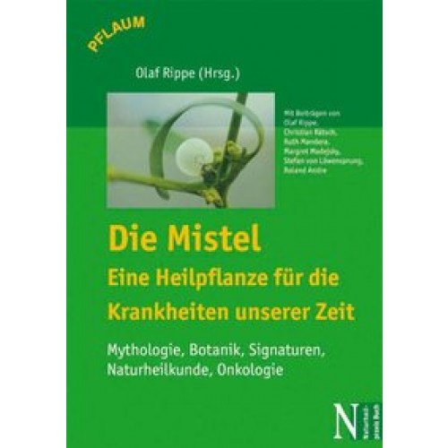 Die Mistel  eine Heilpflanze unserer Zeit