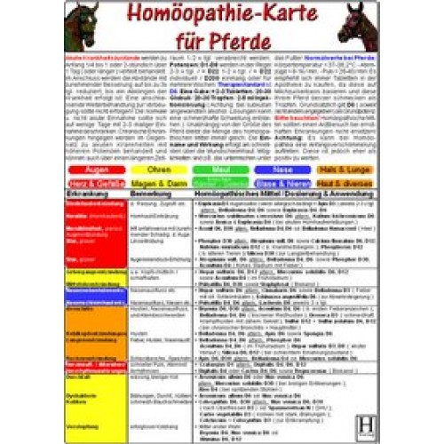 Homöopathie für Pferde