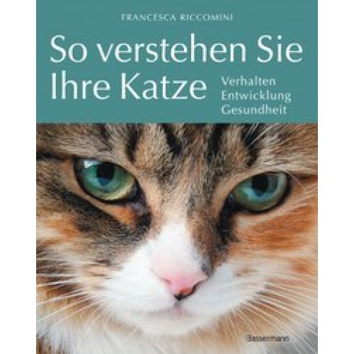 So verstehen Sie Ihre Katze