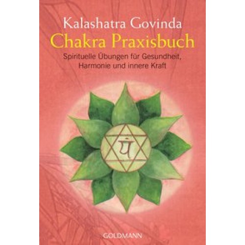 Chakra Praxisbuch