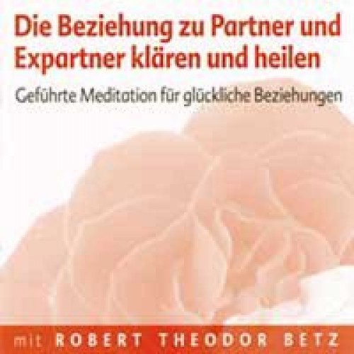 Die Beziehung zu Partner und Expartner klären und heilen