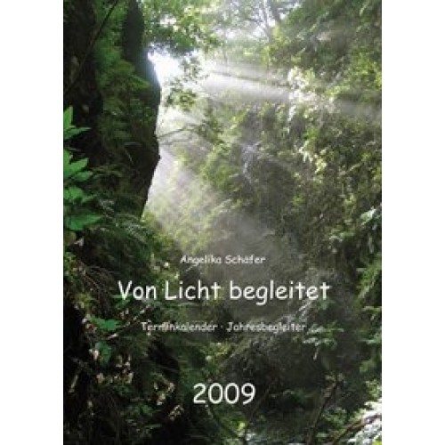 Von Licht begleitet 2009