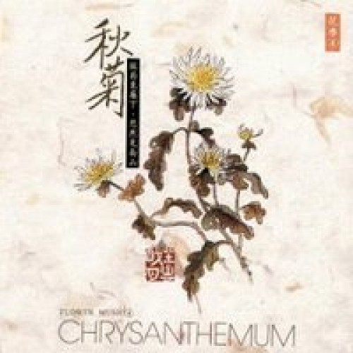 Chrysanthemenblüte