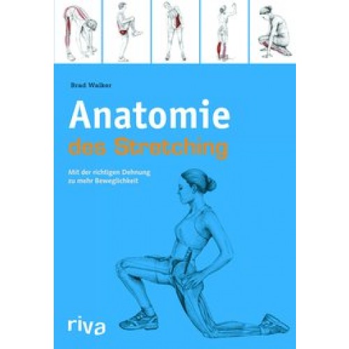 Anatomie des Stretchings