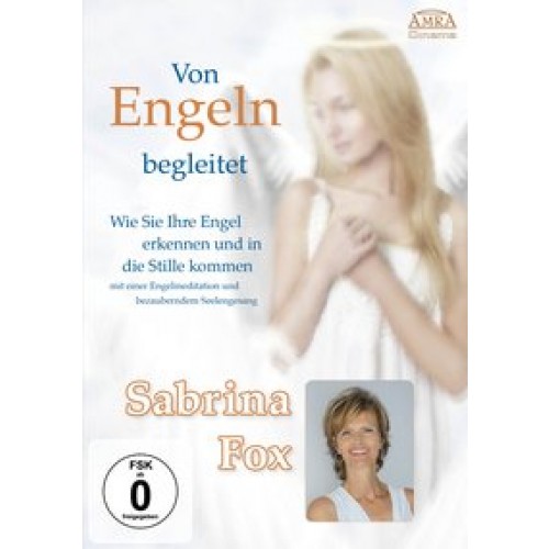 Von Engeln begleitet. Wie Sie Ihre Engel erkennen und in die Stille kommen