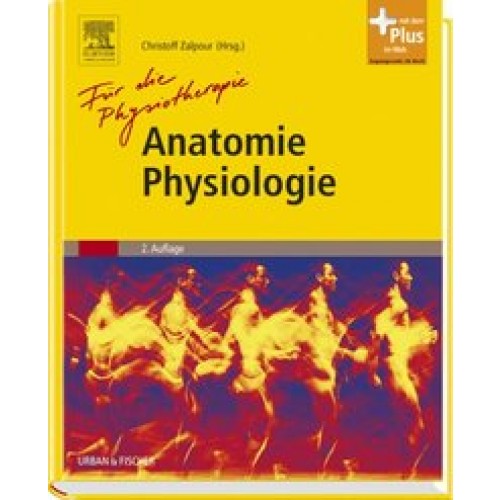 Anatomie Physiologie für die Physiotherapie