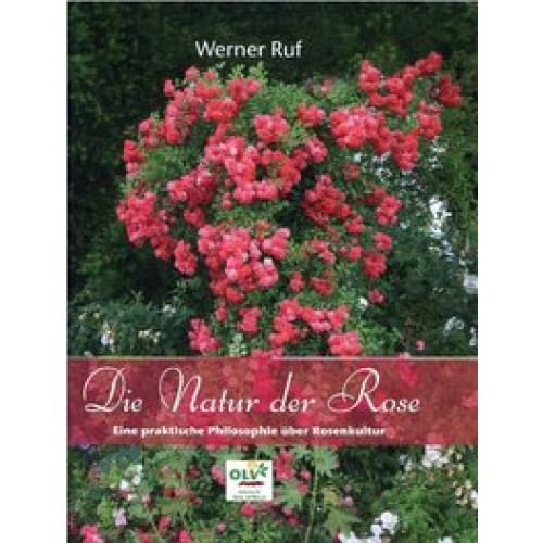 Die Natur der Rose