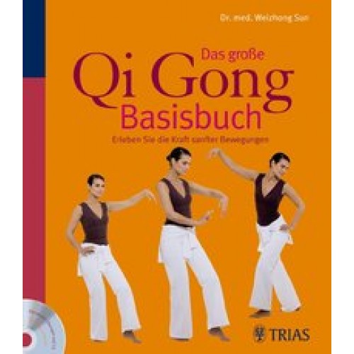 Das große Qi Gong Basisbuch