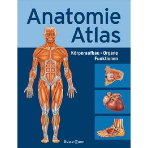 Anatomie-Atlas