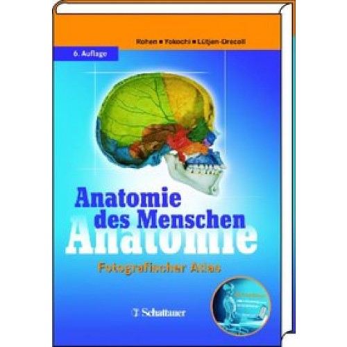 Anatomie des Menschen