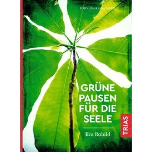 Grüne Pausen für die Seele