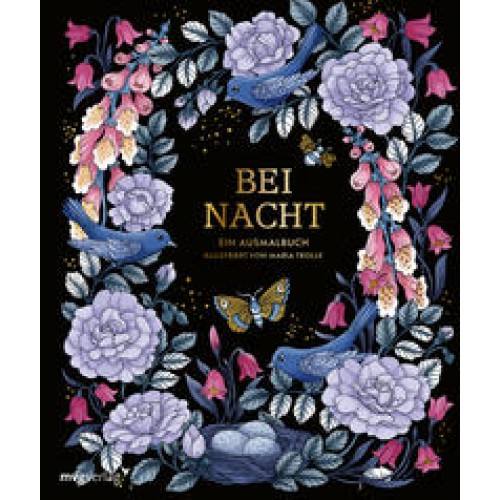 Bei Nacht – Ein Ausmalbuch