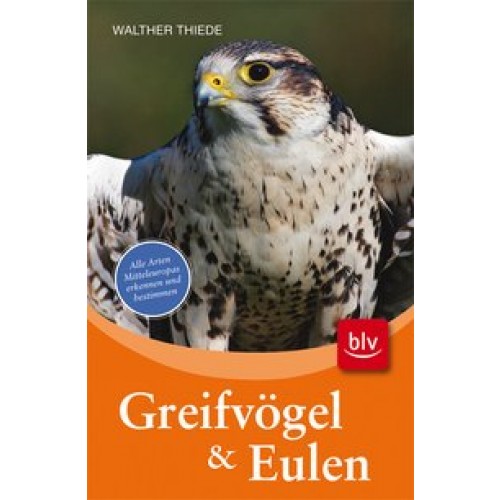 Greifvögel und Eulen