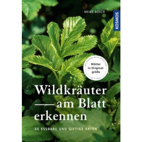 Wildkräuter am Blatt erkennen