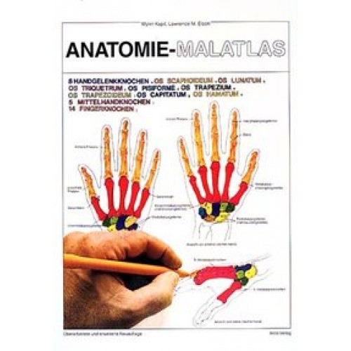 Anatomie-Malatlas