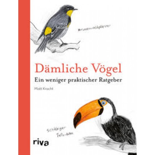 Dämliche Vögel