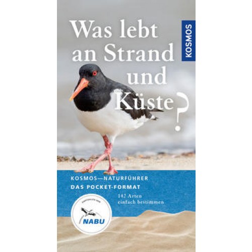 Was lebt an Strand und Küste