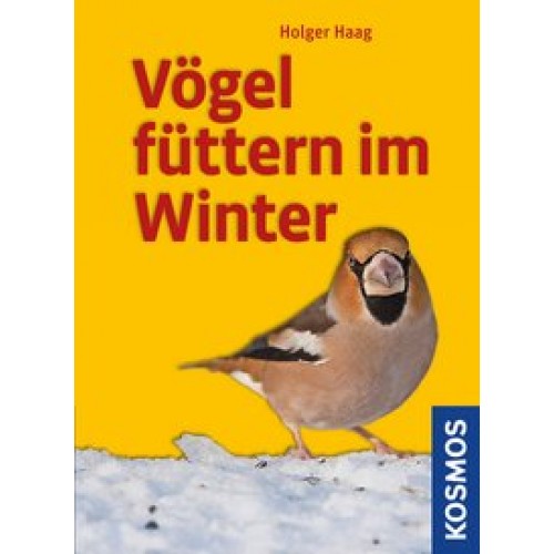 Vögel füttern im Winter